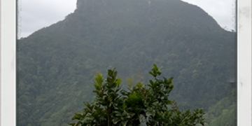 ดอยช้างหลวง