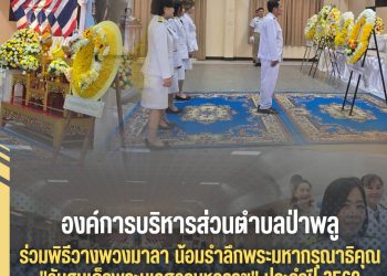 ✨️อบต.ป่าพลู ร่วมพิธีวางพวงมาลา น้อมรำลึกพระมหากรุณาธิคุณ &ldquo;วันสมเด็จพระนเรศวรมหาราช&rdquo; ประจำปี 2569